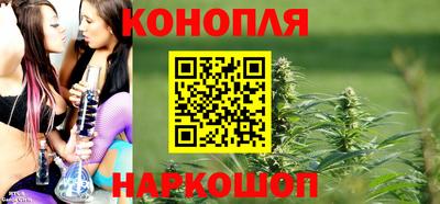 гидра Беслан