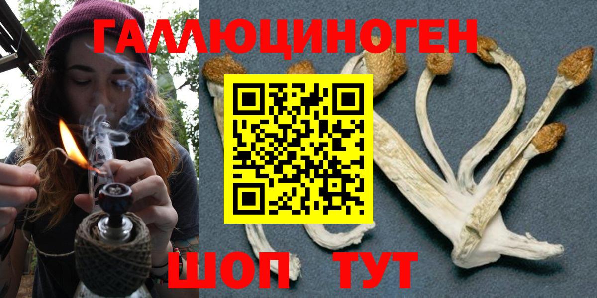закладка  Вход с VPN  Гудермес  Галлюциногенные грибы Magic Shrooms 